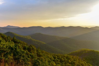 Shenandoah Milli Parkı - Virginia