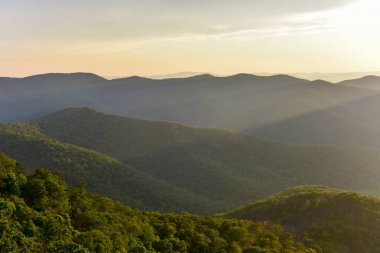 Shenandoah Milli Parkı - Virginia
