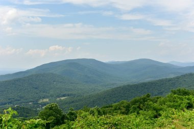 Shenandoah Milli Parkı - Virginia