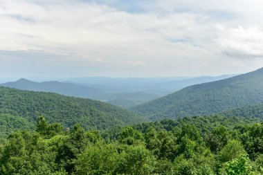 Shenandoah Milli Parkı - Virginia