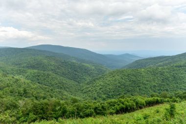 Shenandoah Milli Parkı - Virginia