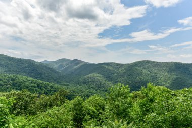 Shenandoah Milli Parkı - Virginia