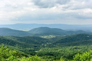 Shenandoah Milli Parkı - Virginia