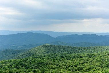 Shenandoah Milli Parkı - Virginia