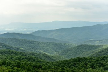 Shenandoah Milli Parkı - Virginia