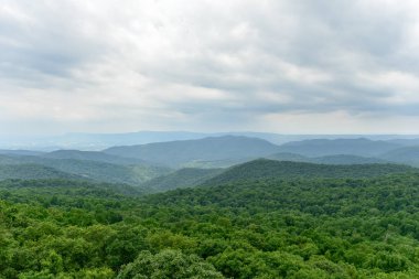 Shenandoah Milli Parkı - Virginia