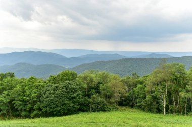 Shenandoah Milli Parkı - Virginia