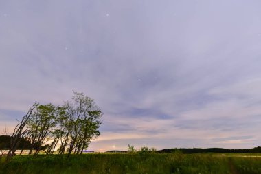Shenandoah Milli Parkı - Virginia