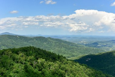 Shenandoah Milli Parkı - Virginia