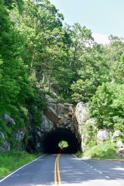 Shenandoah Milli Parkı - Virginia
