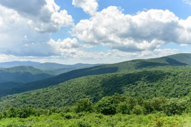 Shenandoah Milli Parkı - Virginia