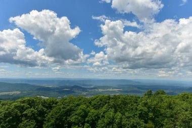 Shenandoah Milli Parkı - Virginia