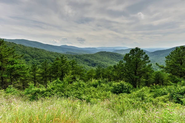 Parque Nacional Shenandoah - Virgínia — Fotografia de Stock