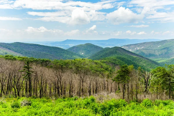 Shenandoah nationalpark - Virginia — Stockfoto