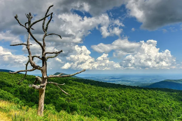 Shenandoah nationalpark - Virginia — Stockfoto