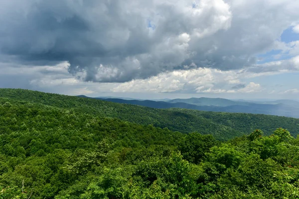 Shenandoah Milli Parkı - Virginia