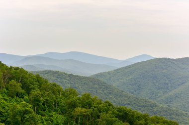 Shenandoah Milli Parkı - Virginia