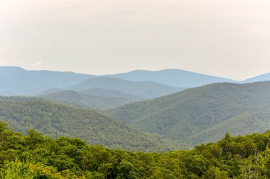 Shenandoah Milli Parkı - Virginia
