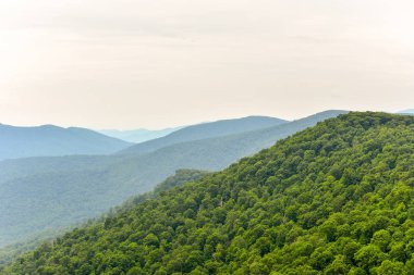 Shenandoah Milli Parkı - Virginia