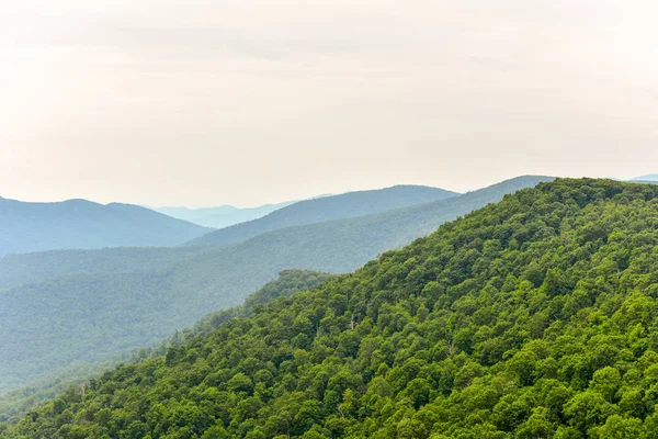 Shenandoah nationalpark - Virginia — Stockfoto