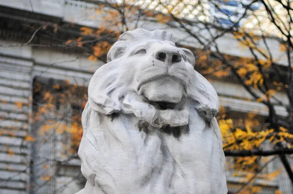 New York City Public Library — Stock Photo, Image