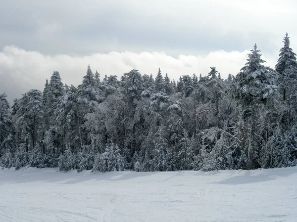 Зимняя лыжная гора — стоковое фото
