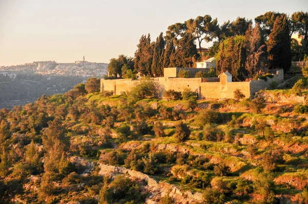 예루살렘의 계단식된 언덕 — 스톡 사진