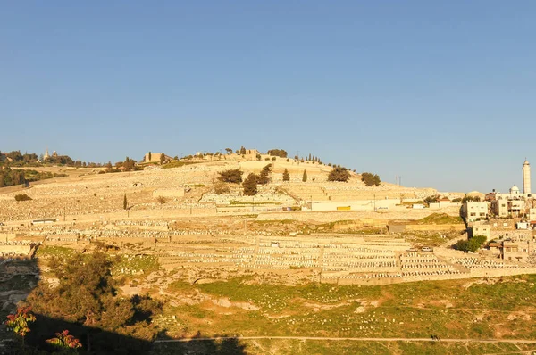 El Monte de los Olivos en Jerusalén — Foto de Stock