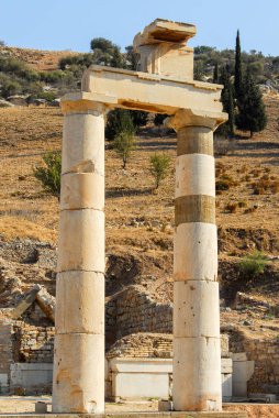 Antik Efes, Türkiye