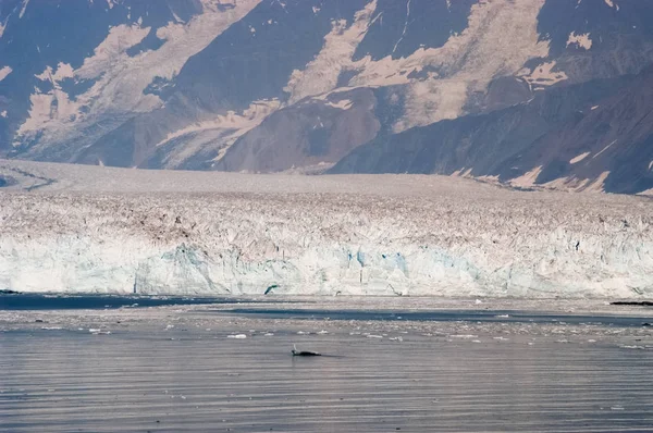 Hubbard Buzulu - Alaska — Stok fotoğraf