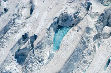 Denali Milli Parkı - Alaska