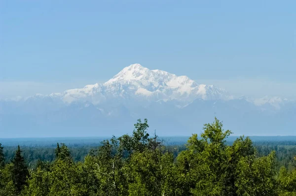 Národní Park Denali - Aljaška — Stock fotografie