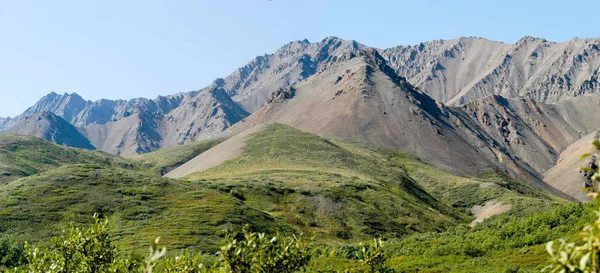 Parque Nacional Denali - Alaska — Foto de Stock