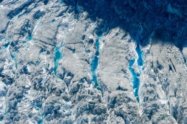 Denali Milli Parkı - Alaska