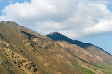 Denali Milli Parkı - Alaska