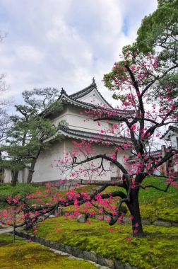 Nijo Kalesi - Kyoto, Japonya