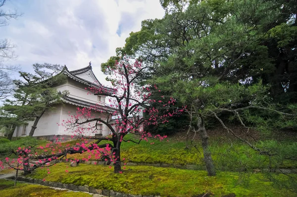 니조 성-교토, 일본 — 스톡 사진