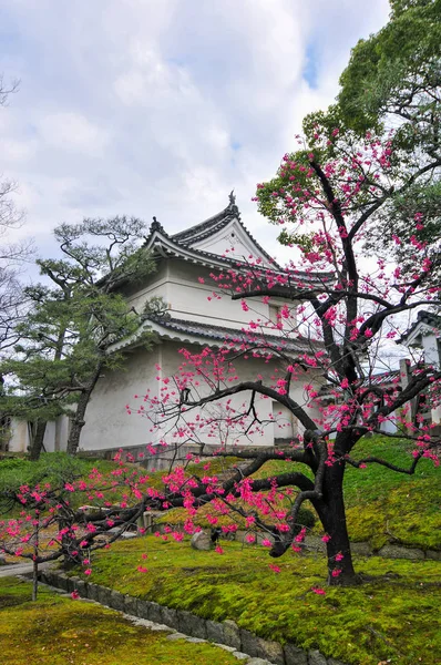 Zamek Nijo - Kioto, Japonia — Zdjęcie stockowe