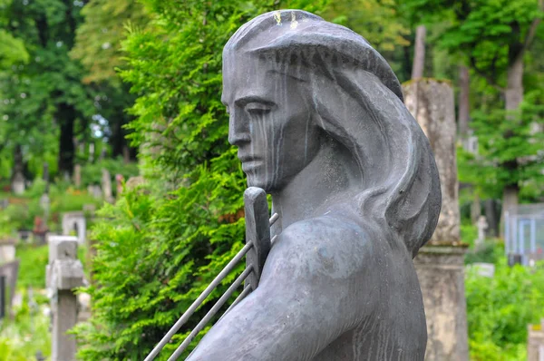 Lychakiv Cemetery - Lviv, Ukraina — Stockfoto