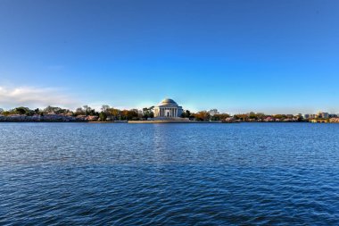 Kiraz çiçekleri - Washington, Dc