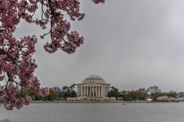 Jefferson Memorial - Washington, Dc