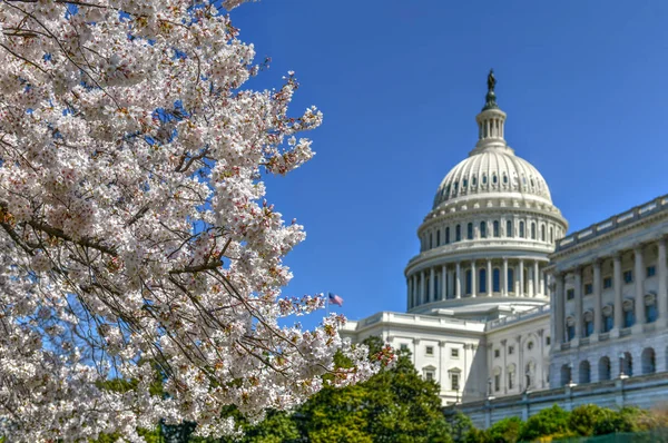 Campidoglio degli Stati Uniti Washington, DC — Foto Stock