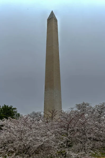 Памятник Вашингтону - Вашингтон — стоковое фото