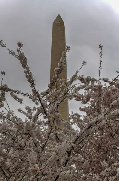 Памятник Вашингтону - Вашингтон — стоковое фото
