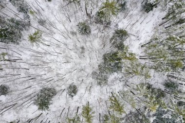 Snowy Vermont Rural Landscape