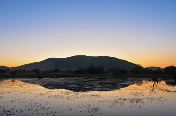Rezerwat przyrody Pilanesberg - Republika Południowej Afryki — Zdjęcie stockowe