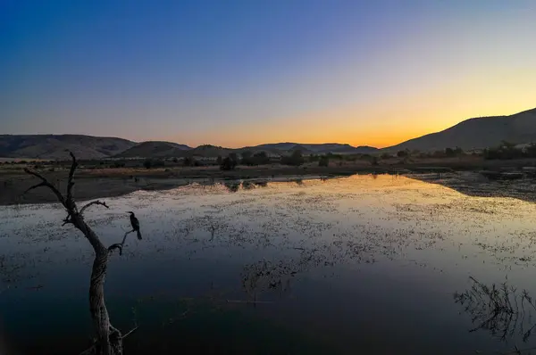 Reserva Natural de Pilanesberg - Sudáfrica — Foto de Stock