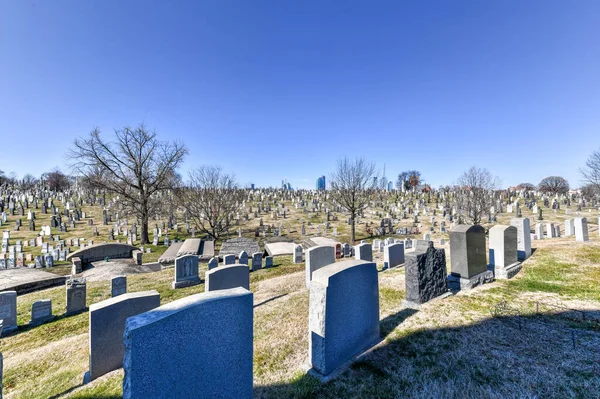 Nova Iorque Fevereiro 2020 Cemitério Calvário Com Horizonte Manhattan Nova — Fotografia de Stock