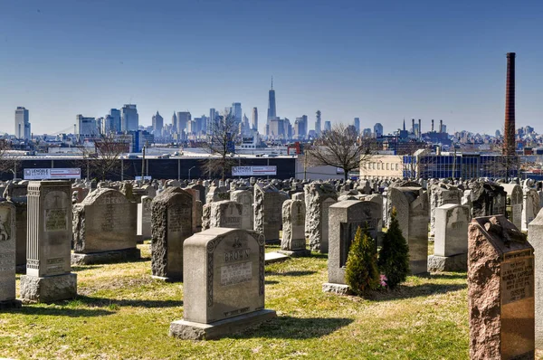 Nowy Jork Lutego 2020 Cmentarz Kalwarii Panoramą Manhattanu Nowym Jorku — Zdjęcie stockowe