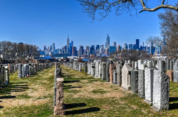 Nova Iorque Fevereiro 2020 Cemitério Calvário Com Horizonte Manhattan Nova — Fotografia de Stock